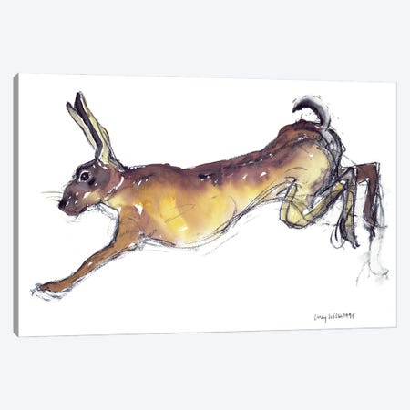 Jumping Hare Canvas Print #LCW8} by Lucy Willis Canvas Wall Art