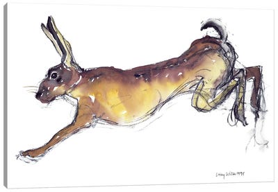 Jumping Hare Canvas Art Print