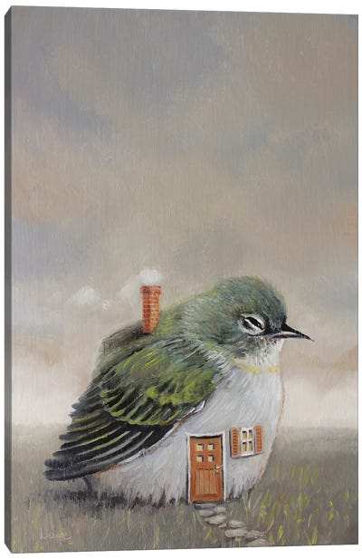 Bird House Canvas Art Print