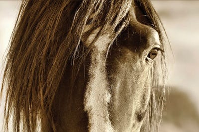 Amante by Lisa Dearing art print