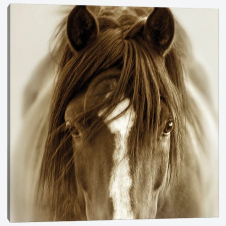 Ghost Horse Canvas Print #LDG15} by Lisa Dearing Canvas Wall Art