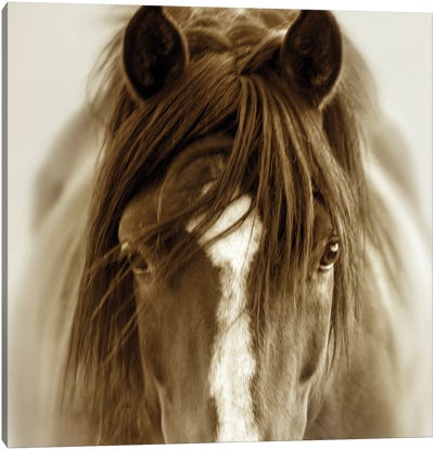 Ghost Horse Canvas Art Print