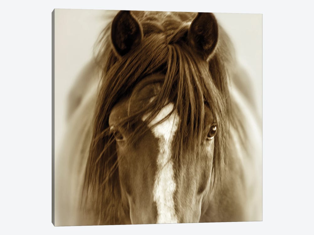 Ghost Horse by Lisa Dearing 1-piece Canvas Print
