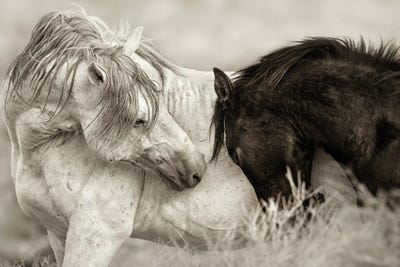 The Long Goodbye by Lisa Dearing art print