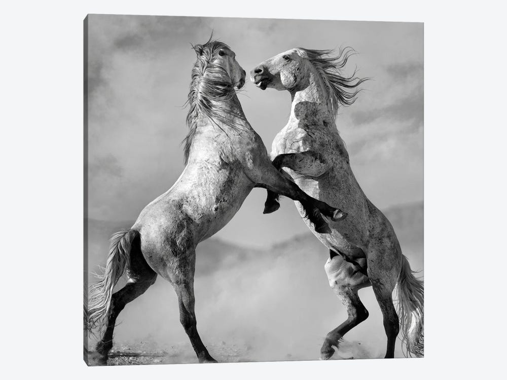 Challengers by Lisa Dearing 1-piece Canvas Print