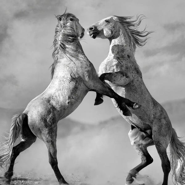 Lisa Dearing: Challengers by Lisa Dearing