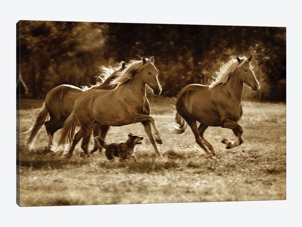 Paso Horses by Lisa Dearing 1-piece Art Print