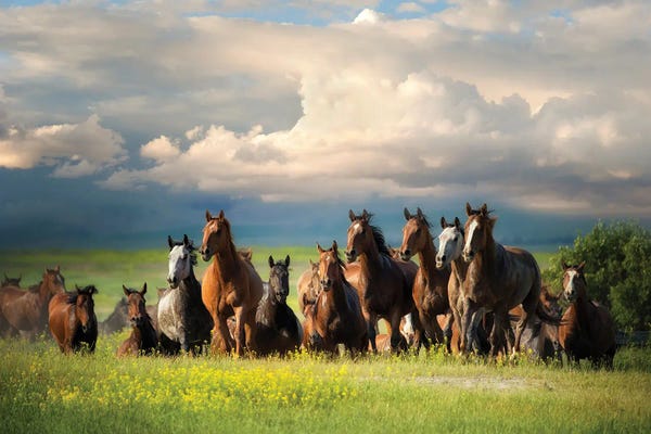 Lisa Dearing: Running Free II by Lisa Dearing