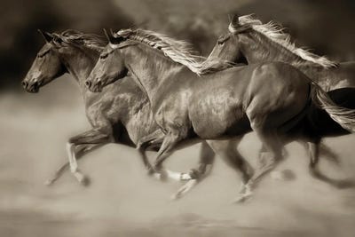 Wind Runners by Lisa Dearing art print