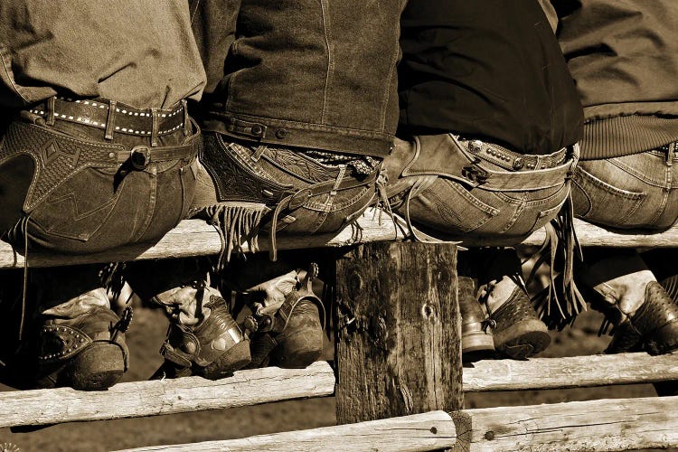 Wranglers by Lisa Dearing wall art