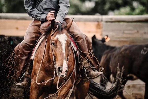Horseback: Cutting Horse I by Lisa Dearing