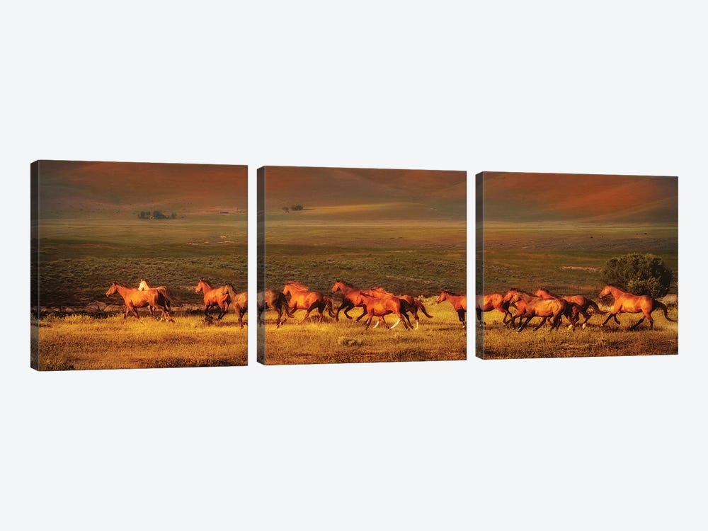 Montana Dreaming by Lisa Dearing 3-piece Canvas Artwork