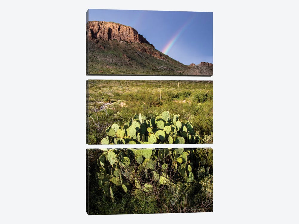 Chihuahuan Desert. by Larry Ditto 3-piece Canvas Art