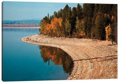 Autumn Shoreline Landscape, Jackson Lake, Grand Teton National Park, Wyoming, USA Canvas Art Print - Grand Teton National Park Art