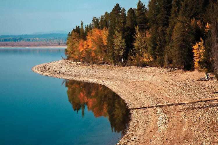 Autumn Shoreline Landscape, Jackson Lake, Grand Teton National Park, Wyoming, USA