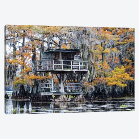 Bald Cypress In Autumn Color Canvas Print #LDI60} by Larry Ditto Canvas Wall Art