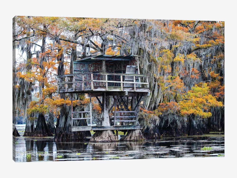 Bald Cypress In Autumn Color by Larry Ditto 1-piece Canvas Artwork