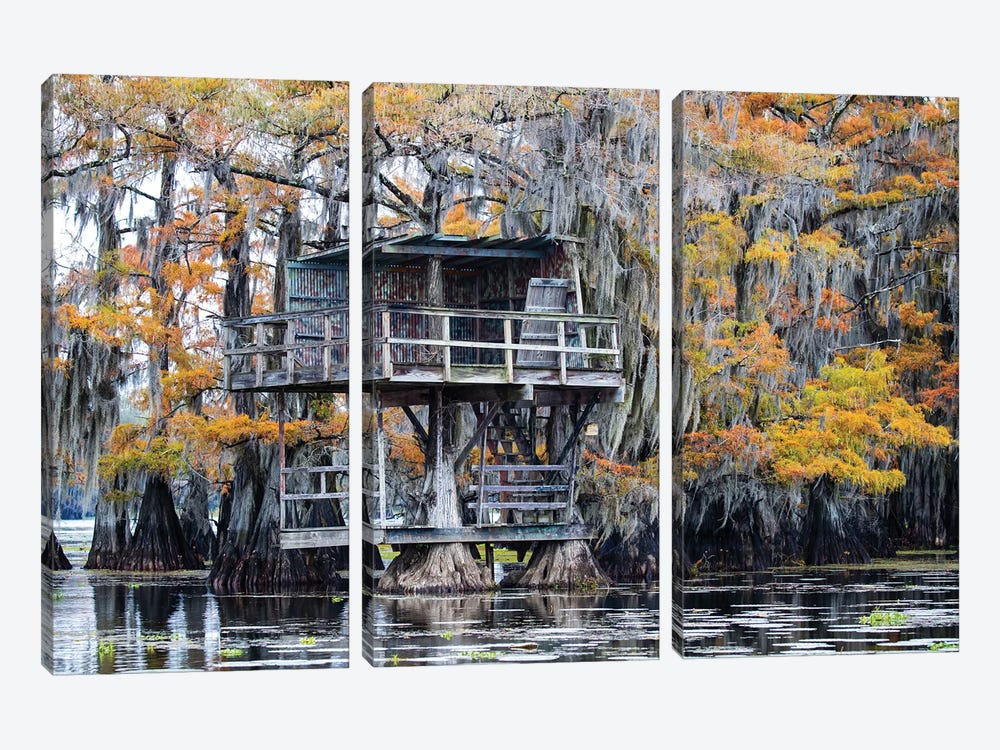 Bald Cypress In Autumn Color by Larry Ditto 3-piece Canvas Artwork