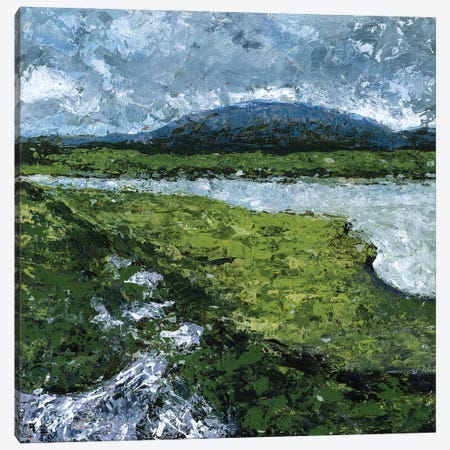 Irish View Canvas Print #LDM19} by LaDara McKinnon Art Print