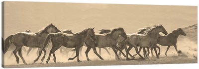 Horse Parade Canvas Art Print - Sepia Photography