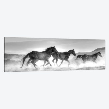 Rolling By Canvas Print #LDN22} by Sally Linden Art Print