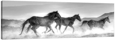 Rolling By Canvas Art Print - Black & White Scenic