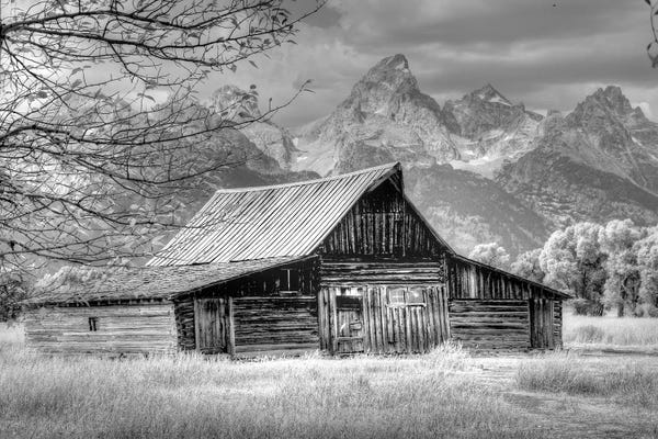 Sally Linden: Sign Of The Feather by Sally Linden