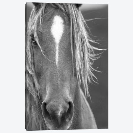 Close Up II Canvas Print #LDN38} by Sally Linden Canvas Artwork