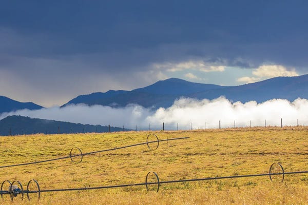 Sally Linden: Irrigation by Sally Linden