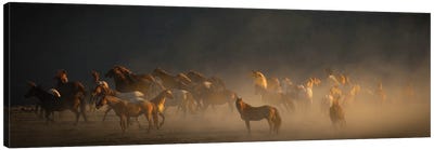 Wild Horses IV Canvas Art Print
