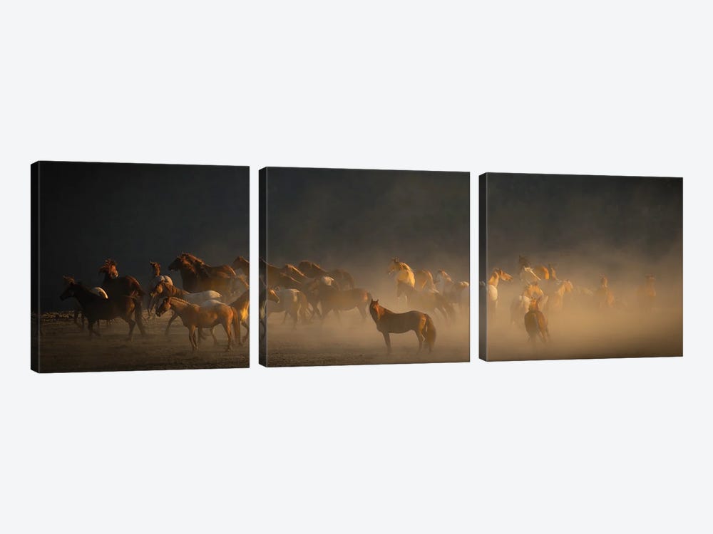 Wild Horses IV by Sally Linden 3-piece Canvas Print