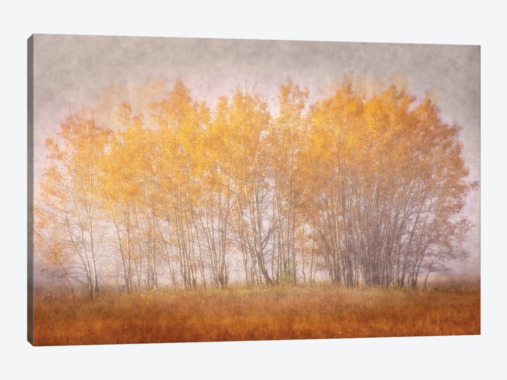 Muted Gold by Leda Robertson 1-piece Canvas Print