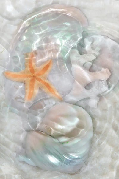 Sea Shells: Underwater Light Waves VI by Leda Robertson