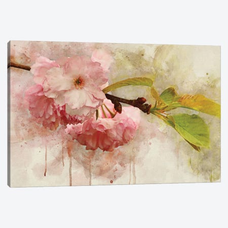 Blossom Elegance I Canvas Print #LDR15} by Leda Robertson Canvas Print