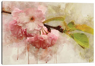 Blossom Elegance I Canvas Art Print