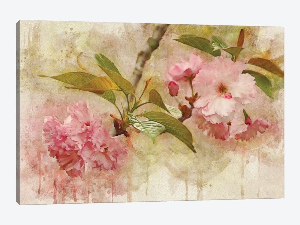 Blossom Elegance II by Leda Robertson 1-piece Canvas Art Print