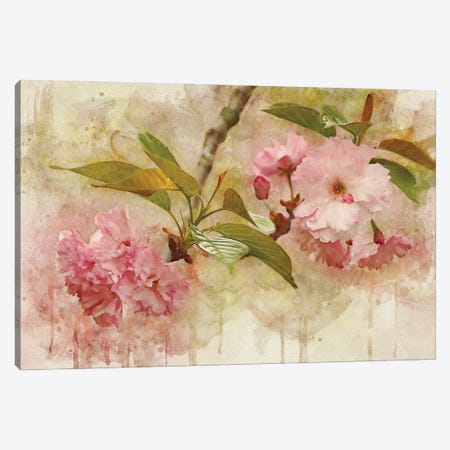 Blossom Elegance II Canvas Print #LDR16} by Leda Robertson Canvas Art Print