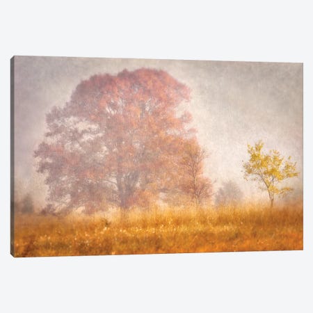 Autumn Mist Canvas Print #LDR1} by Leda Robertson Canvas Wall Art