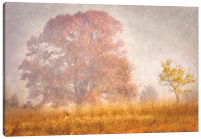 Autumn Mist Canvas Art Print