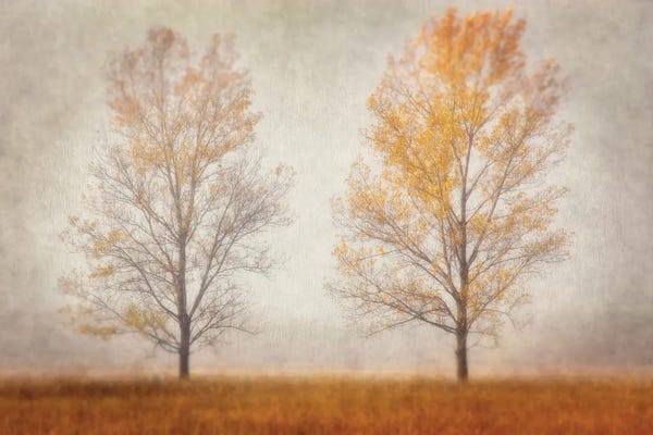 Leda Robertson: Misty Duo by Leda Robertson