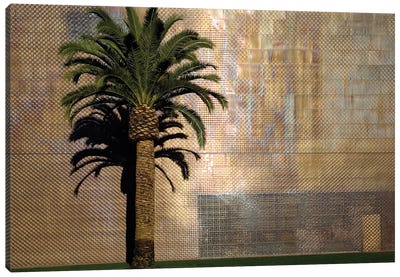 Lone Palm Tree, M.H. de Young Memorial Museum, Golden Gate Park, San Francisco, California, USA Canvas Art Print