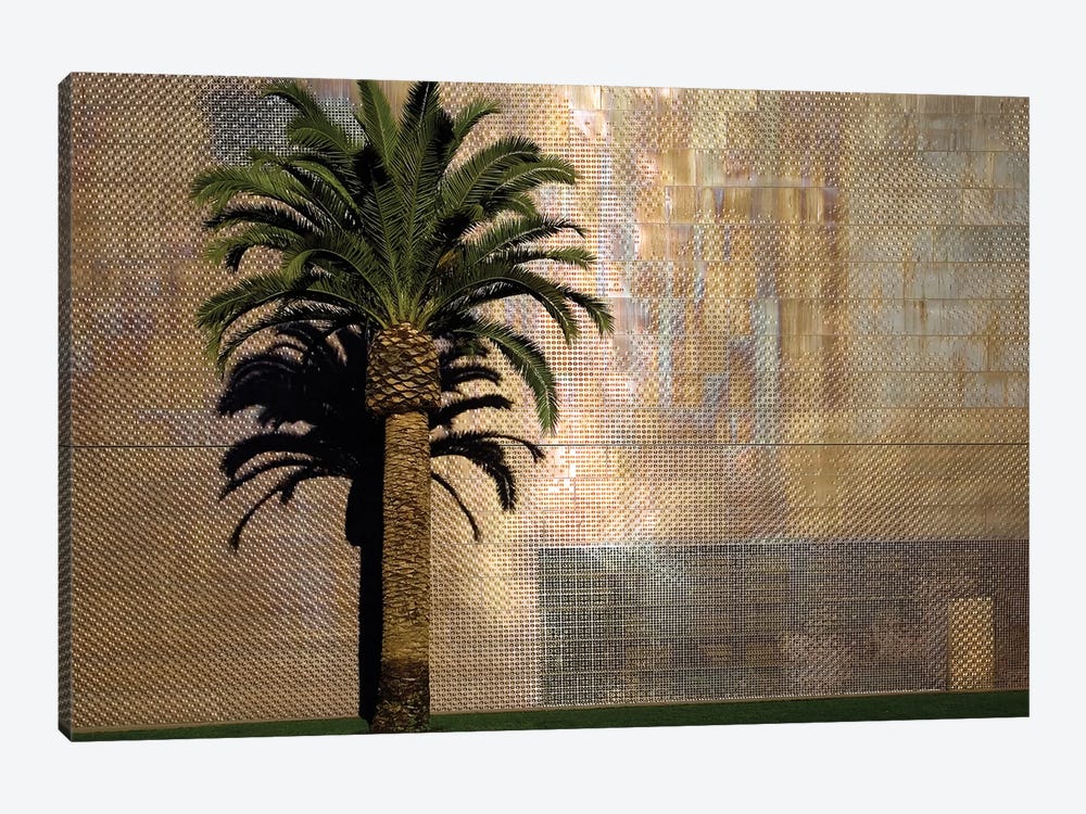 Lone Palm Tree, M.H. de Young Memorial Museum, Golden Gate Park, San Francisco, California, USA by Jim Goldstein 1-piece Canvas Wall Art