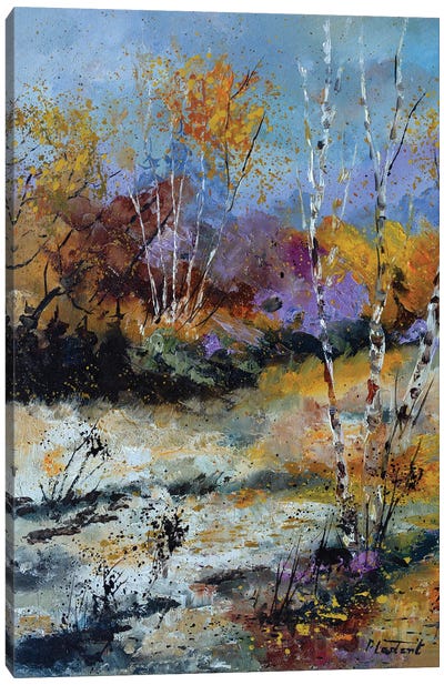 Autumnal clearing Canvas Art Print - Aspen Tree Art