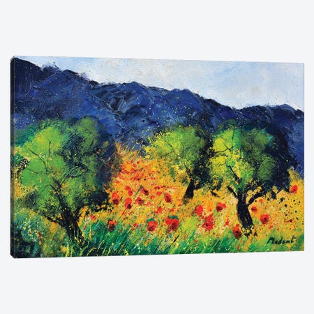 Olive trees and red poppies Canvas Print #LDT106} by Pol Ledent Canvas Artwork