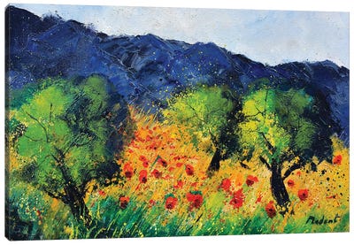 Olive trees and red poppies Canvas Art Print - Pol Ledent
