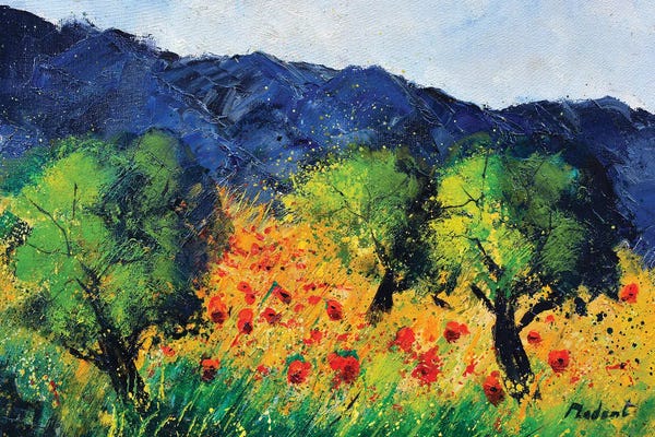 Poppies: Olive trees and red poppies by Pol Ledent