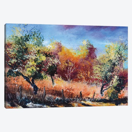 Autumn in orchard Canvas Print #LDT107} by Pol Ledent Canvas Art