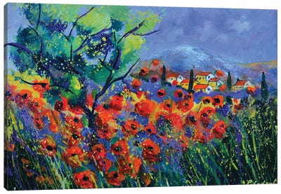 Red poppies in Provence  - 541120 Canvas Art Print - Provence