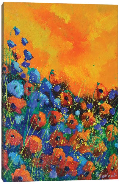 Orange poppies Canvas Art Print - Pol Ledent