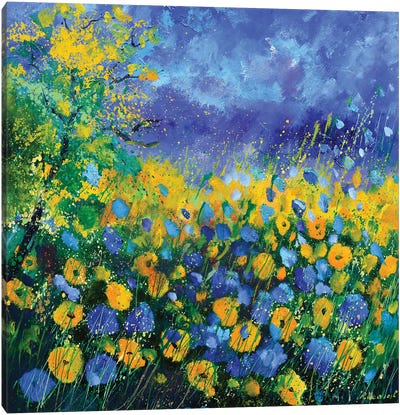 Yellow flowers Canvas Art Print - Pol Ledent